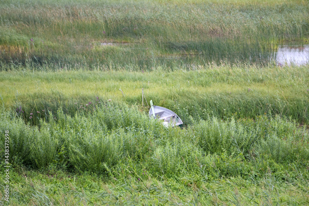 a small, light-colored boat, partially hidden in tall, green grass near the shore of a body of water.