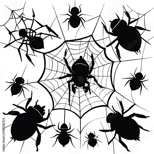 Flies caught in spiderweb