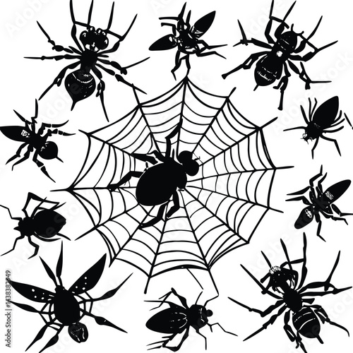 Flies caught in spiderweb