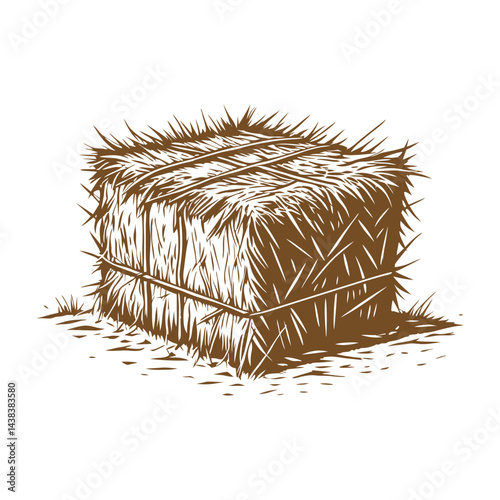 Hay vector