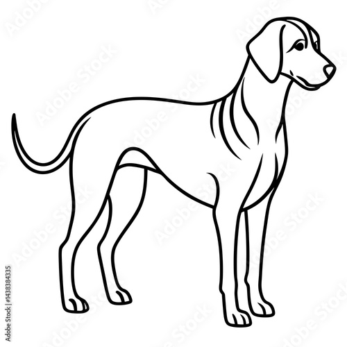 Minimal Bavarian Mountain Hound Vector on White