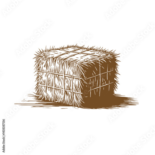 Hay vector