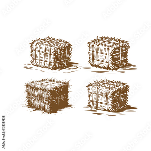 Hay vector