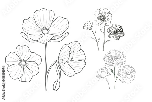 Hand drawn flower set.  