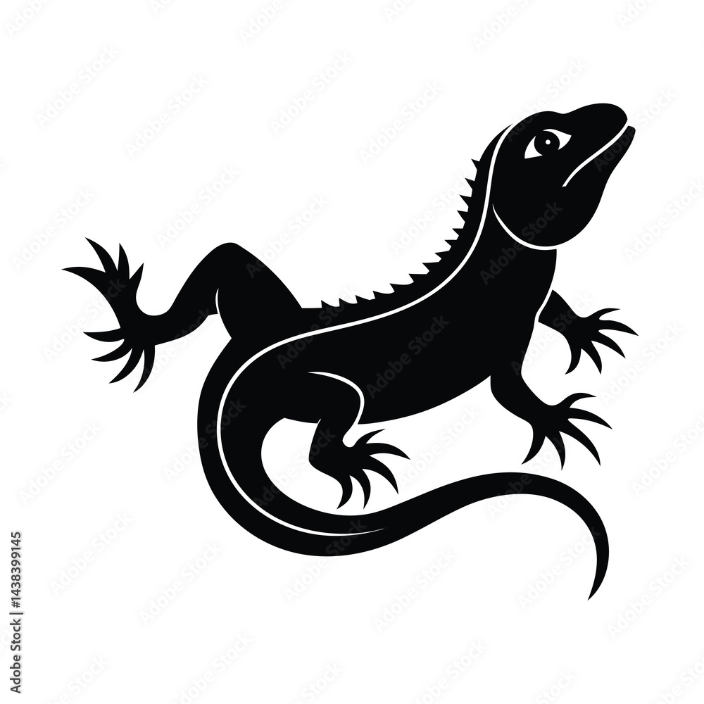 Fototapeta premium Adobe Illustrator Artwork