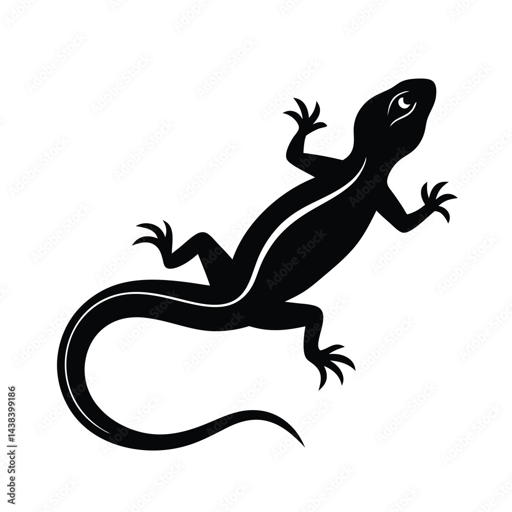 Fototapeta premium Adobe Illustrator Artwork