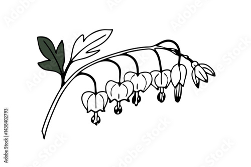 Bleeding Heart Flower Vector Art