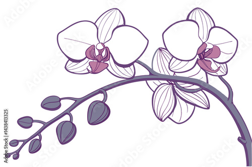Blooming Orchid Flower Design