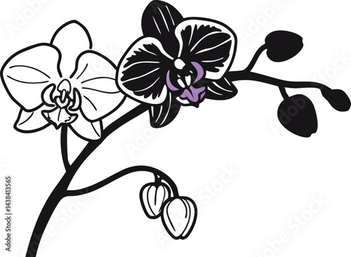 Graceful Orchid Flower Vector