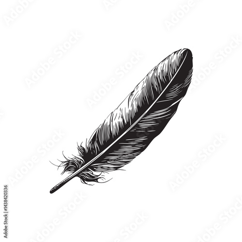 bird feather vector illustrations - hand drawn bird feather - black and white bird feather isolated on white background