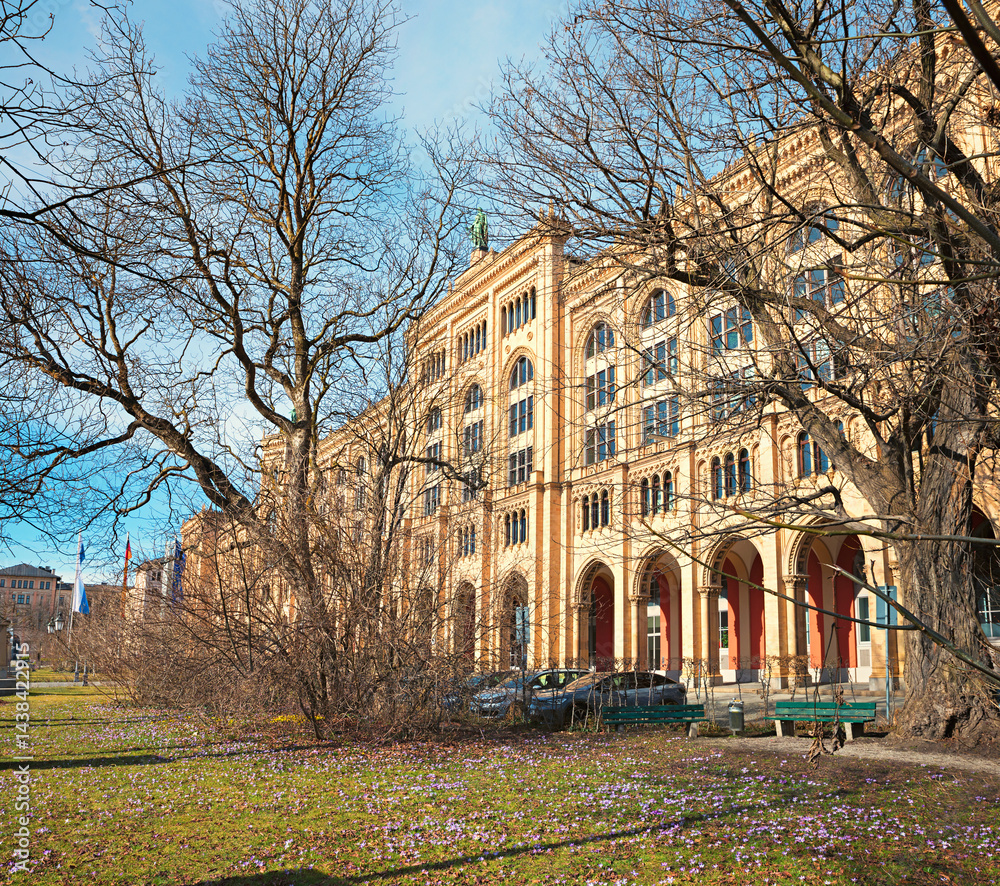 historic building government of upper bavaria, meadow with spring crocus