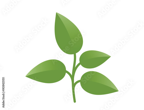 Green plant sprout with four leaves illustration. Spring, planting and nature design element. Isolated vector image