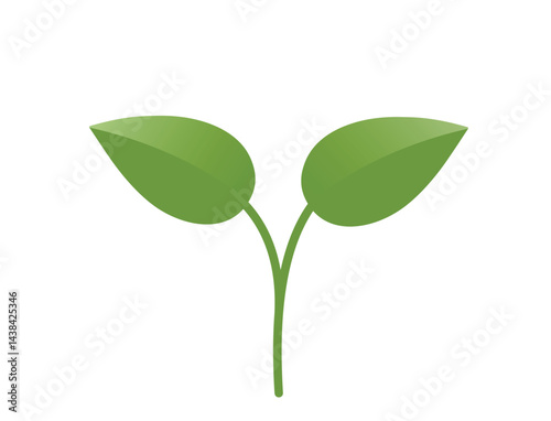 Green sprout with two leaves illustration. Spring, planting and nature design element. Isolated vector image
