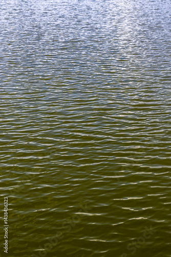 calm water background in a lake in Brazil Water surface background. Small ripple on the surface of the water Abstract waves on water surface. Shallow depth of field.