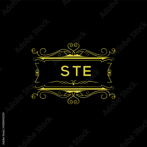 STE Letter logo icon design elements
