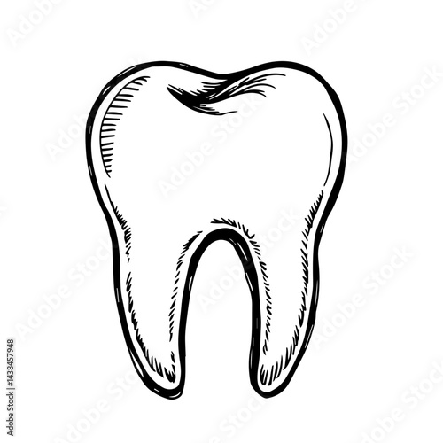 Hand-drawn tooth sketch, black and white, for dental care, medical illustration