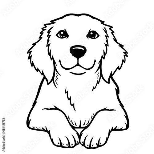 Golden Retriever puppy sketch, black and white, for pet websites