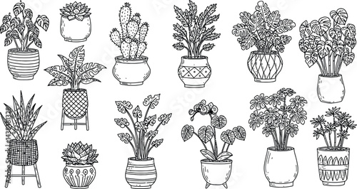 Decorative Potted Plants, Black and White Vector Illustration