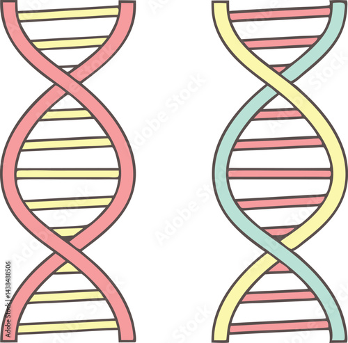 Colorful DNA helix illustration with pastel colors and hand drawn minimalist style for educational biology and science art 