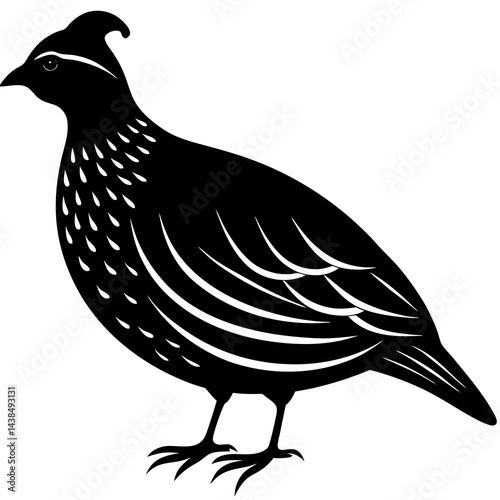 Quail Silhouette on White Background