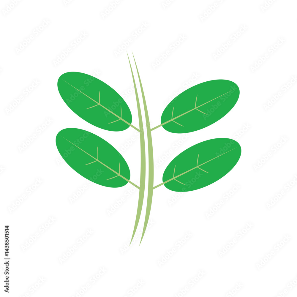 Fototapeta premium moringa leaves icon vector illustration template design