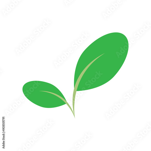 moringa leaves icon vector illustration template design