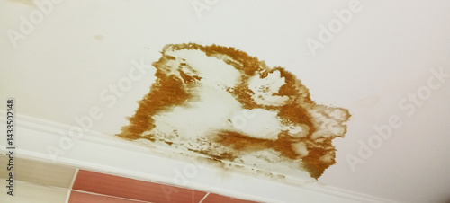 water and moisture damage damaged room ceiling.damaged and stained interior ceiling due to water leak.stained bathroom ceiling
