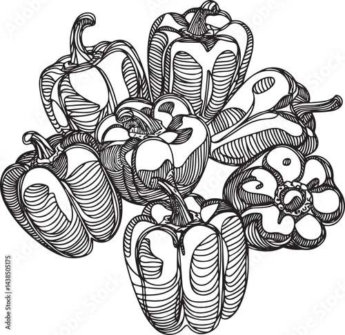 A group of bell peppers drawn in continuous line art style with black linear sketching isolated on white background perfect for fresh vegetable illustrations and healthy food themes