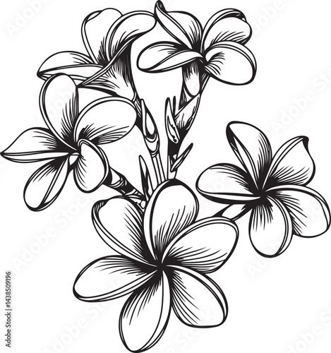 Plumeria flowers drawn in minimalist continuous line art style in black linear sketching isolated on a clean white background ideal for tropical floral designs and botanical projects