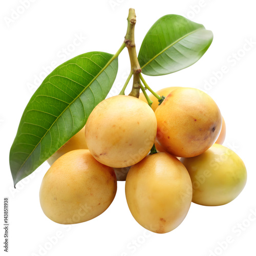 Mangaba fruit isolated on transparent background 