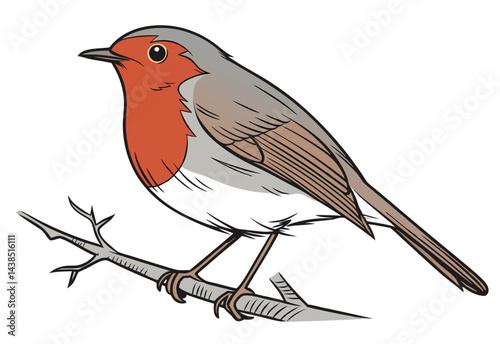 robin on a branch