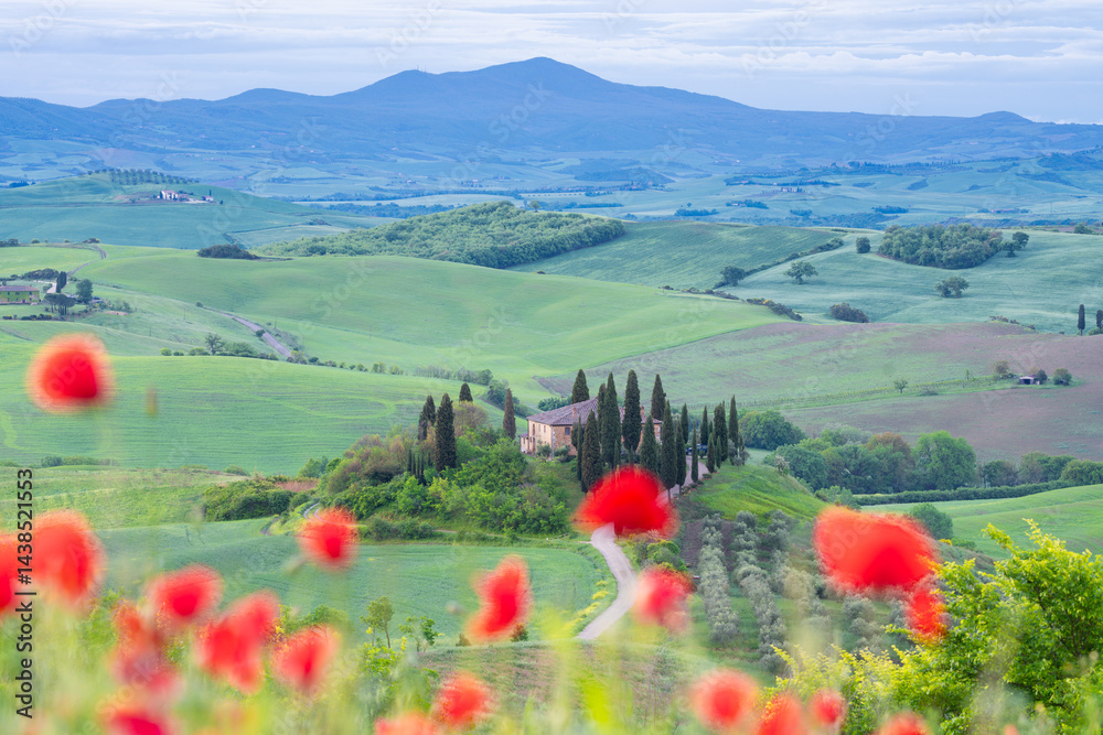 Tuscan farmhouse and rolling hills, framed by vibrant red poppies in foreground