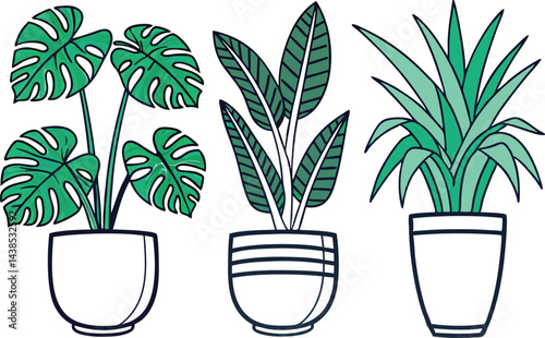 Three Illustrated Houseplants in Pots
