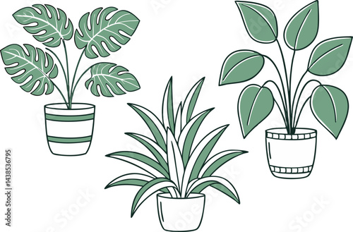 Three potted plants illustration in minimalist style