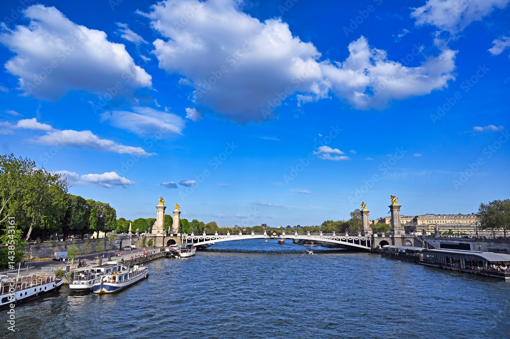Obraz premium The Alexander III Bridge across Seine river in Paris, France