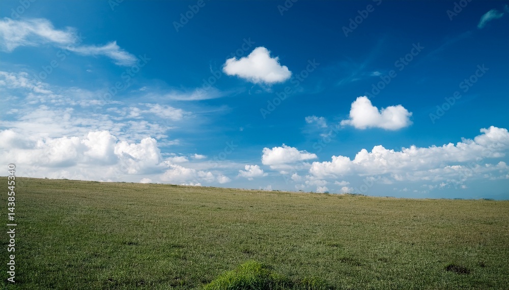 Obraz premium beautiful blue sky and clear