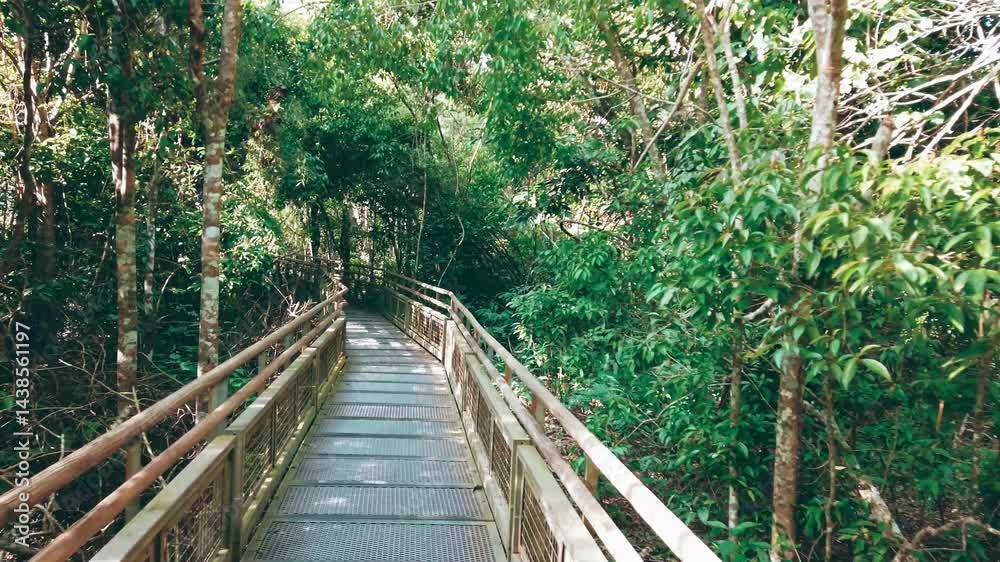 Iguazu Falls trail from the Argentinian side. Iguazu Falls trail from the Argentinian side.