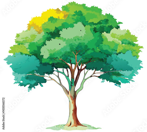 hand drawn tree watercolor vector illustration on white background