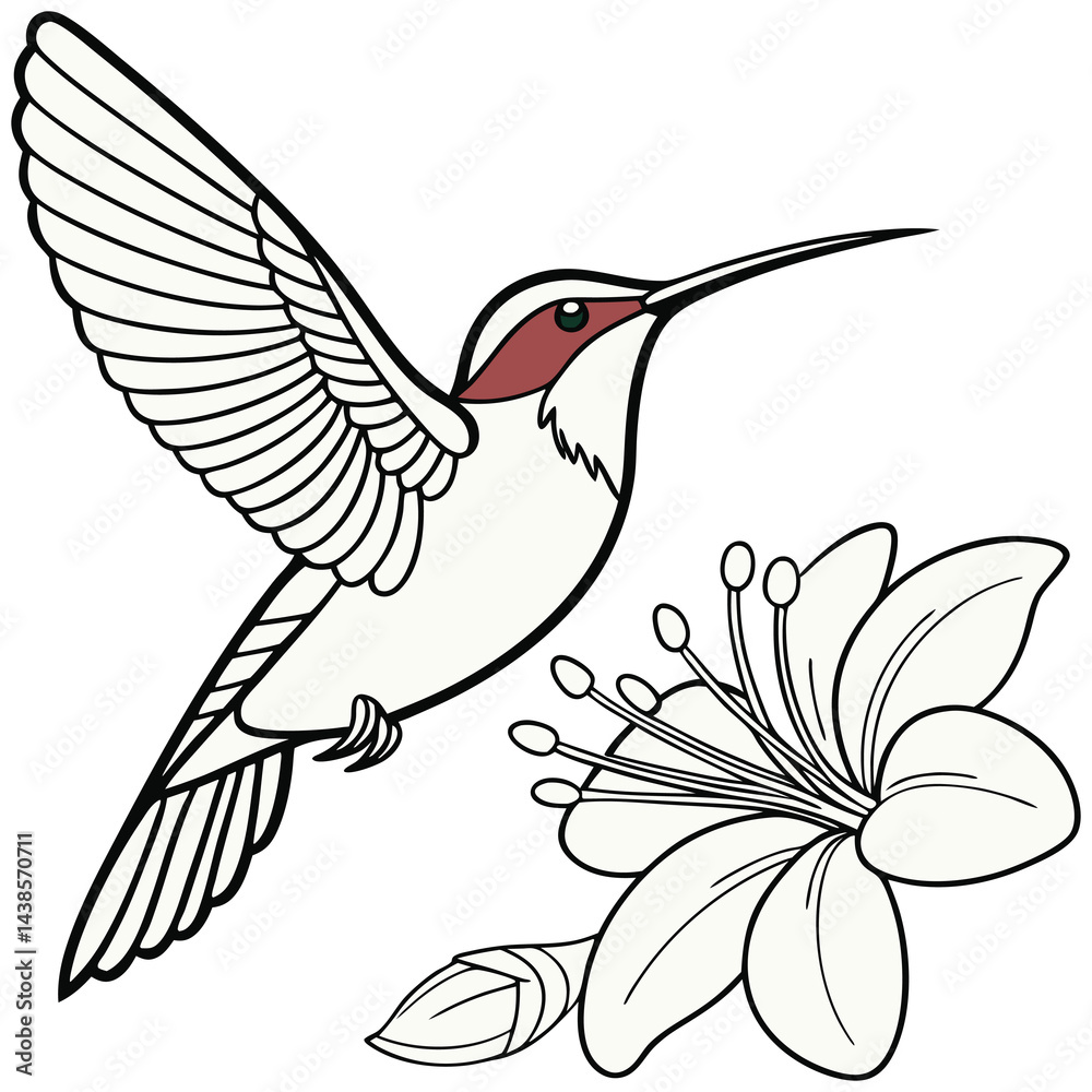 Fototapeta premium Hand Drawn Doodle Style Animals, Birds, and Fish Vectors