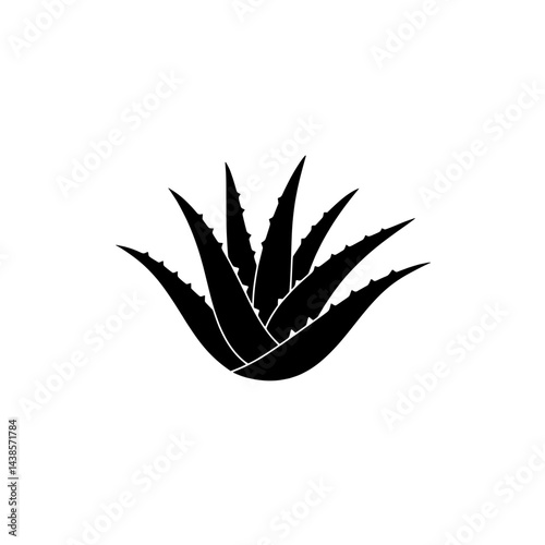 Aloe Vera Silhouette: A stark, minimalist black and white silhouette of an aloe vera plant, its leaves gracefully splayed out, offering a timeless and versatile image. The simple.
