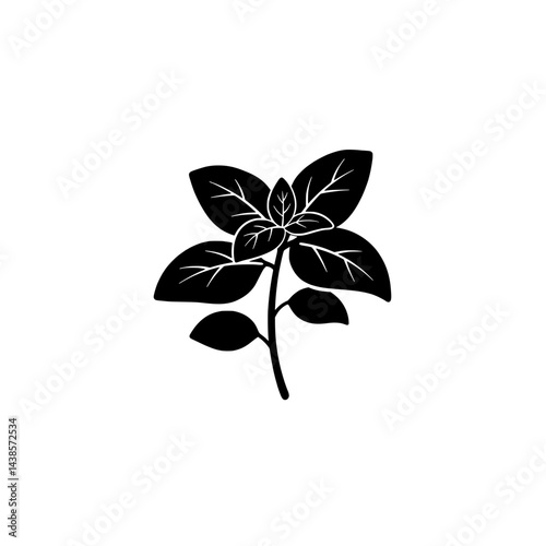 Basil Silhouette: The illustration presents a minimalist, high-contrast depiction of a basil plant, a culinary staple known for its fragrant leaves and vibrant green hue.