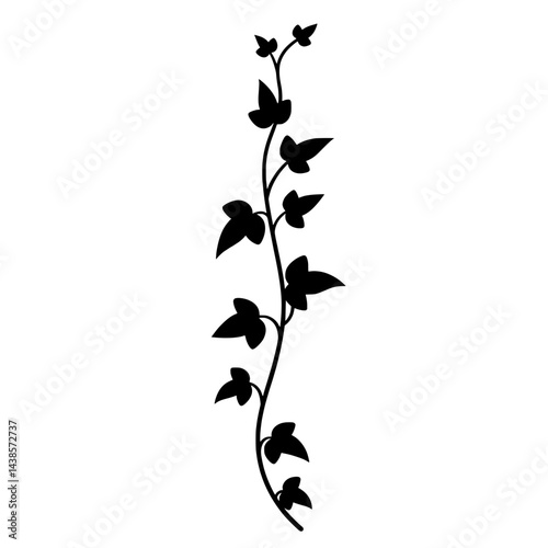 Ivy Vine Silhouette:Elegant black silhouette of an ivy vine, perfect for design elements. 