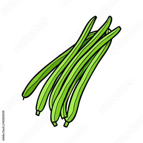 Fresh green beans vegetable illustration for healthy eating and cooking recipes and nutrition guides