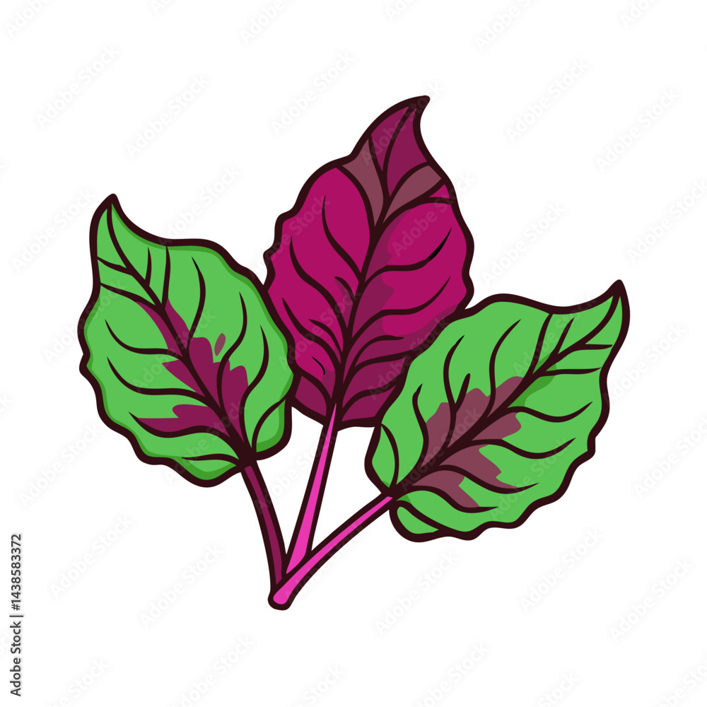 Obraz premium Illustration of colorful swiss chard leaves, healthy food, organic vegetable, leafy greens, 90 char