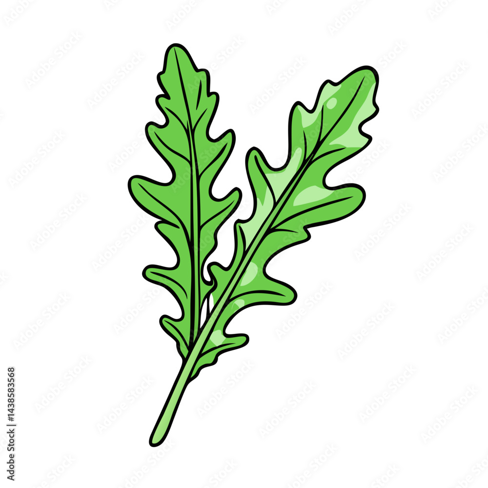 Fototapeta premium Fresh green arugula leaves for salad ingredient healthy eating and vegetarian food concept