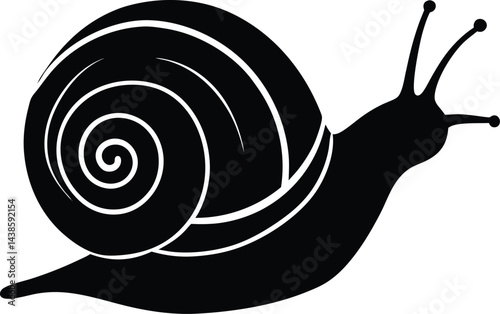 hand drawn snail crawling on white background .eps
