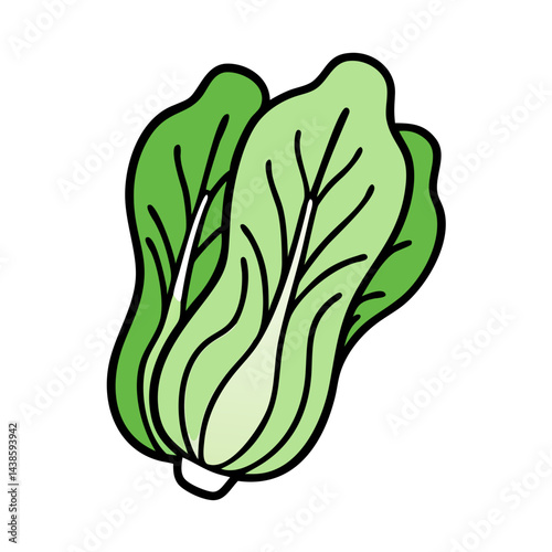 Discover fresh bok choy nutrition facts benefits recipes and culinary uses for healthy eating today