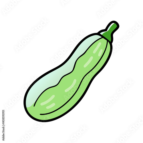 Isolated zucchini illustration fresh vegetable healthy food ingredient squash courgette summer crop