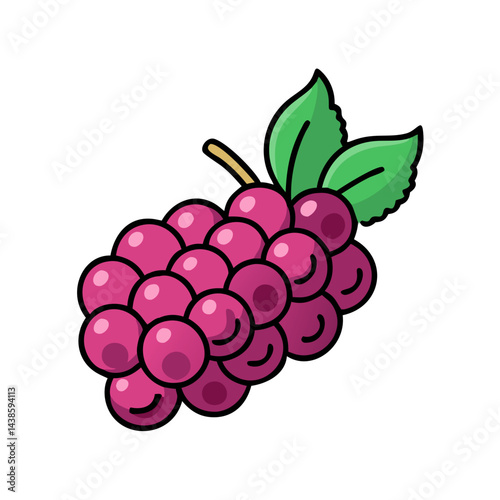 Illustration of fresh grapes fruit, healthy food, purple grapes, sweet grapes, vine grapes, 90s