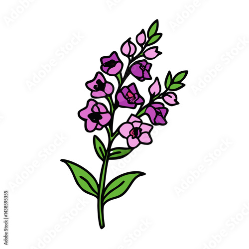 Delphinium flower illustration purple flowers floral botanical drawing garden flower blossom bloom plant